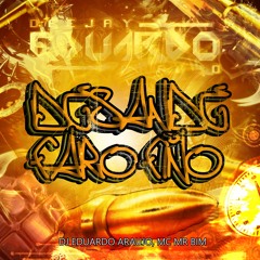 Desande Faro Fino - MC MR BIM, DJ EDUARDO ARAUJO Feat DJ Jamaika