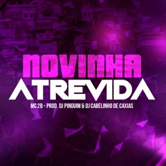 MC 2B - NOVINHA ATREVIDA ((DJ PINGUIM & DJ CABELINHO DE CAXIAS)) 2021 PEGA O BEAT