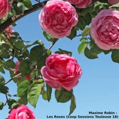 Maxime Robin - Les Roses - LST#18