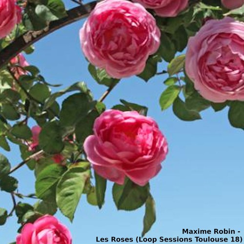 Maxime Robin - Les Roses - LST#18