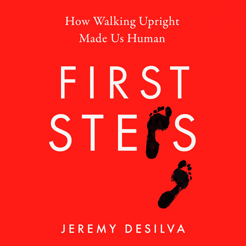 Stream First Steps How Walking Upright Made Us Human, By Jeremy