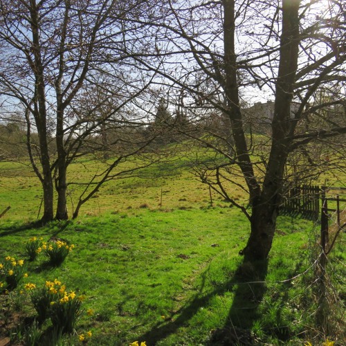 Stream episode Track 3: The Hirsel Estate (the grass is always greener ...