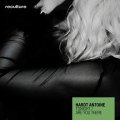 PREMIERE : Hardt Antoine - Are You There