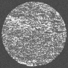 Choline Enhancer [DEMO]