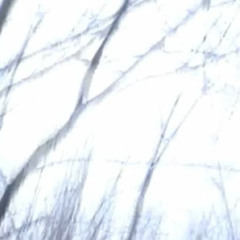 one day you'll remember me