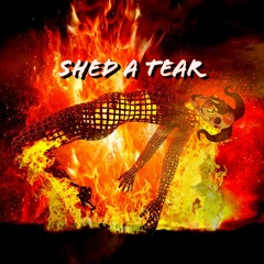 SHED A TEAR (Prod. beatsbyfrost)