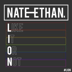Nate Ethan - Like It Or Not (Clean)