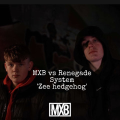 MXB Vs Renegade System - Zee Hedgehog
