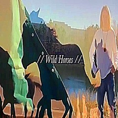 souljaelf - Wild Horses ft. sevenoceansdeep ( Prod. Lil Biscuit )