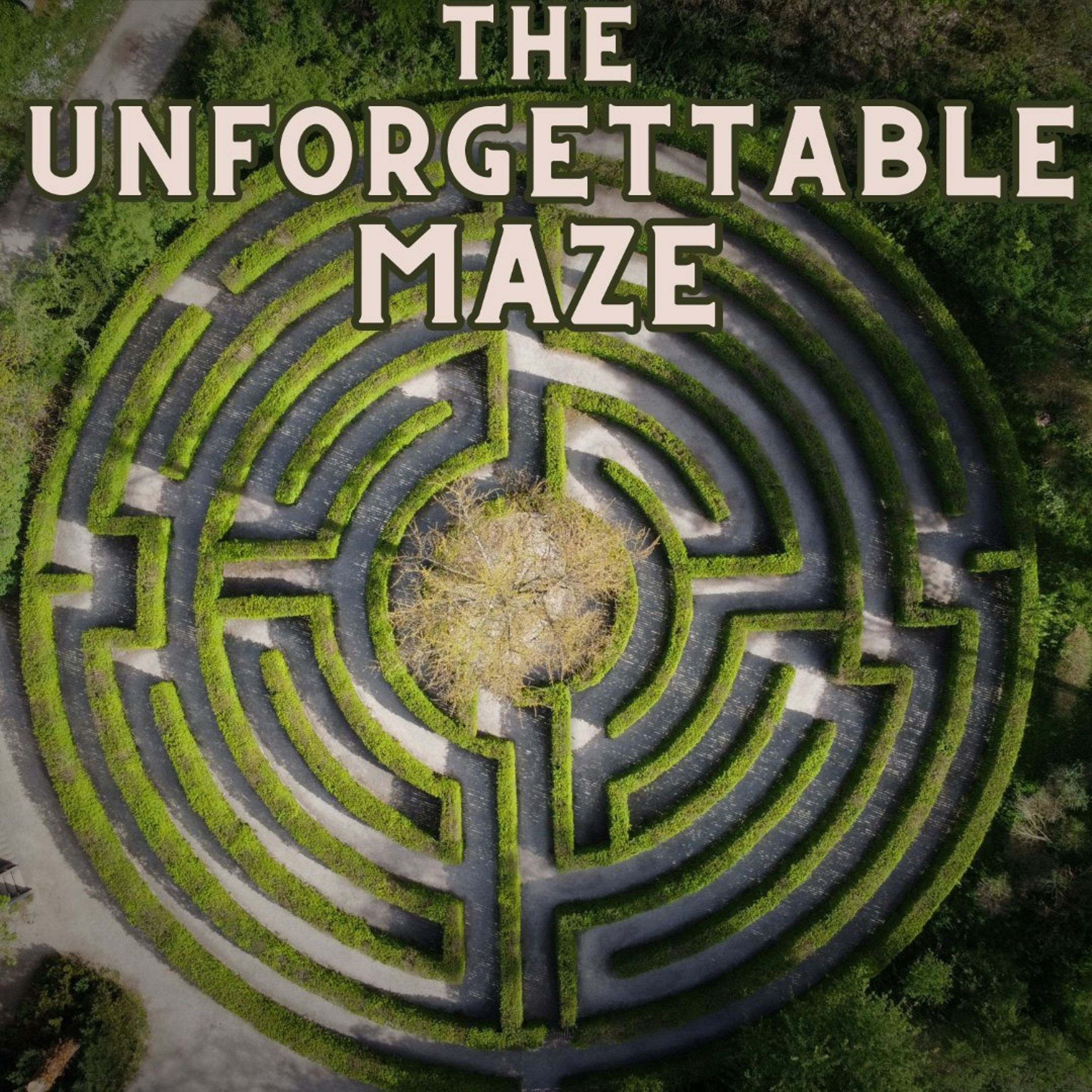 The Unforgettable Maze - Charlotte, Savannah, Alila, Ollie and Niki - Antonio Catholic School episode artwork