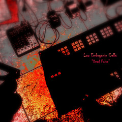 Sanctuary (Dead Pulse)