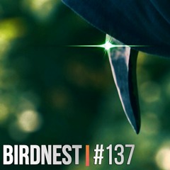 BIRDNEST #137