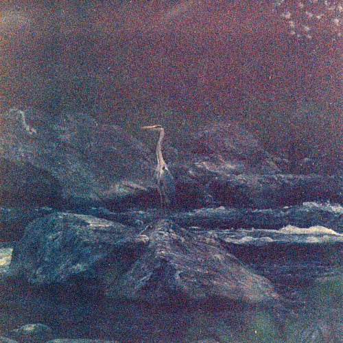 Asatsuyu ~ 朝露