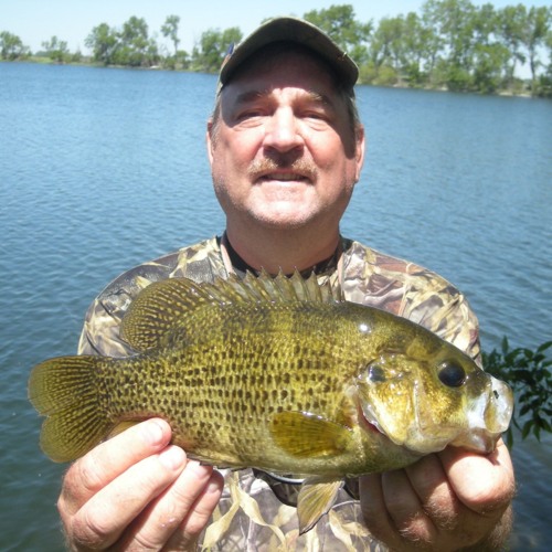 Southcentral Gobblers & Overlooked Rock Bass