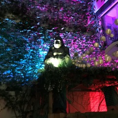 Underground City Garden @ Kowalski 27.8.21