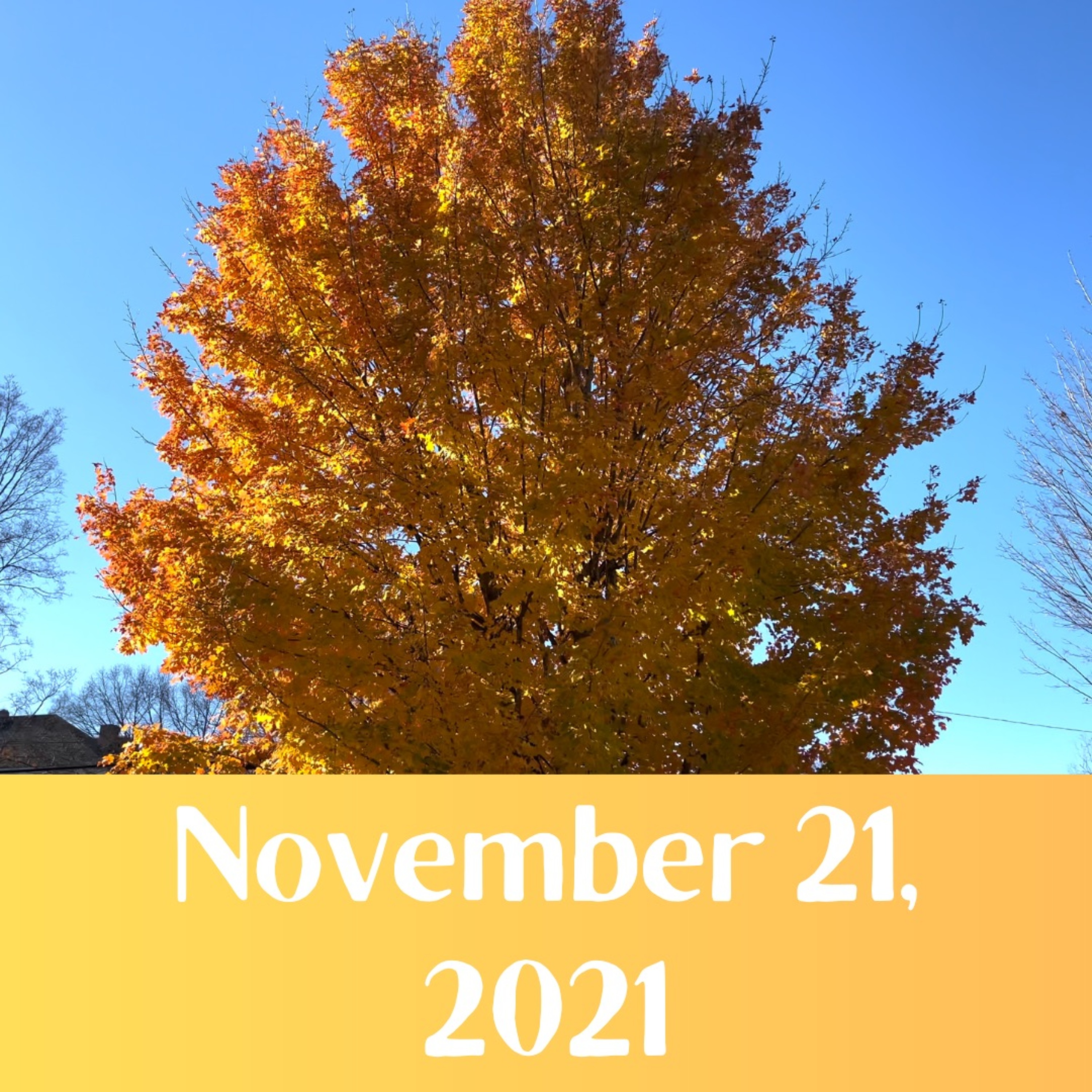 November 21, 2021 Sermon episode artwork