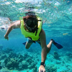 Best Buck Island Reef National Monument Snorkeling Prices Reviews
