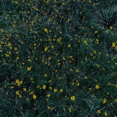 Don't You Love Me (DELUXE)