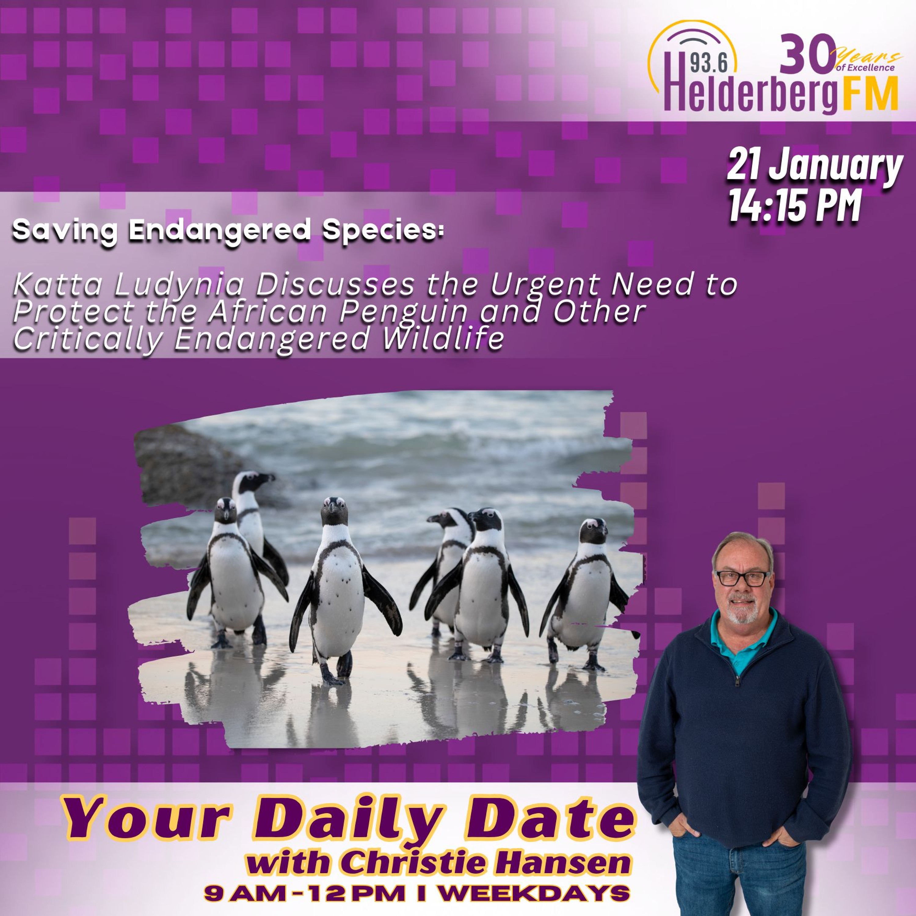 85% Of Western Cape Demands Leaders To Save Critically Endangered Species Such As African Penguin episode artwork