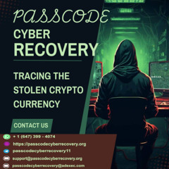 The Team That Helped Me Recover My Lost Crypto: Passcode  Cyber Recovery