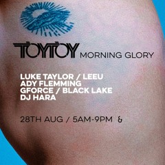 TOYTOY Morning Glory - 28 August 2021
