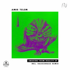 Premiere: Amir Telem - Awaking From Reality (Rauschhaus Remix) [Kitchen Recordings]
