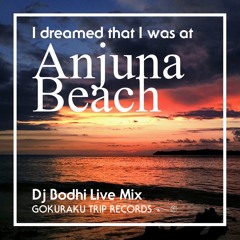 Bodhi @ "I dreamed that I was at Anjuna Beach" Live in Tokyo. [GOKURAKU TRIP RECORDS࿐𑁍]