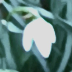 rhythm of the distant.