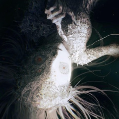 sparticus - found the light (1shelbybaby) [slump audios exclusive + hidden gems + 8teen]