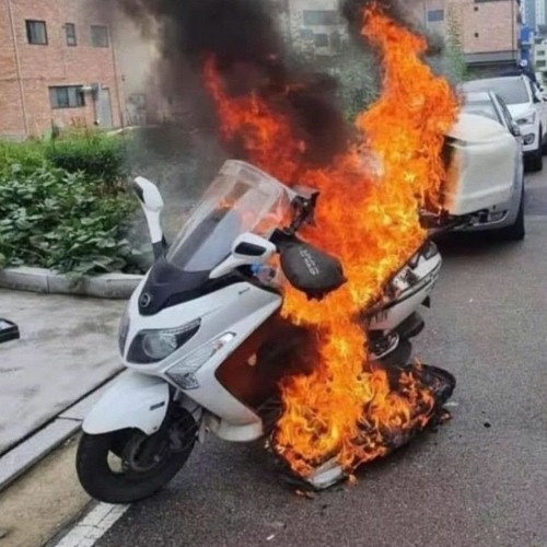 3불알