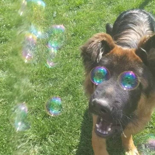 Exmagician - Plan retrieval