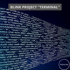 Blink Project - Terminal