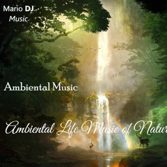 Ambiental Life Music Of Nature