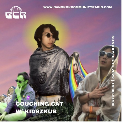 Couching Cat 6th November 2022