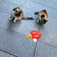 乒乓(ping-pong) mix by Hu & 小阳蛋子 (for Baihui.live)