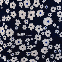 PREMIERE: Elsoo - ToyBox (Gudj Remix)