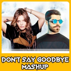 Alok, Roger Grey - Don't Say Goodbye (Gleino Alves Mashup)