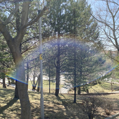 ben bu şarkıyı bulamadım