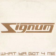 Signum - What ya got 4 me (Si Mars remix)