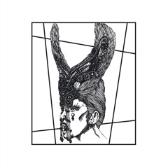 Die Dinge des Lebens