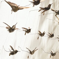 11-14-23-bugs