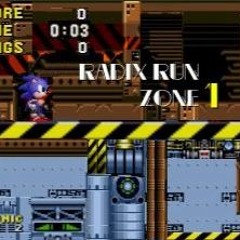 Radix Run