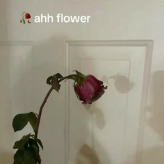 người yêu có bạn gái (cover)
