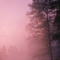 Olgica — KuH 2024
