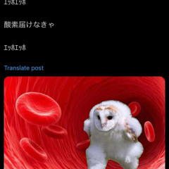fuggg