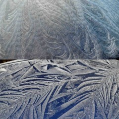 Antarctic Dark