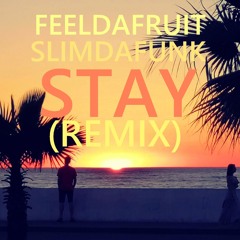 Feeldafruit - Stay (SLIMDAFUNK Remix)