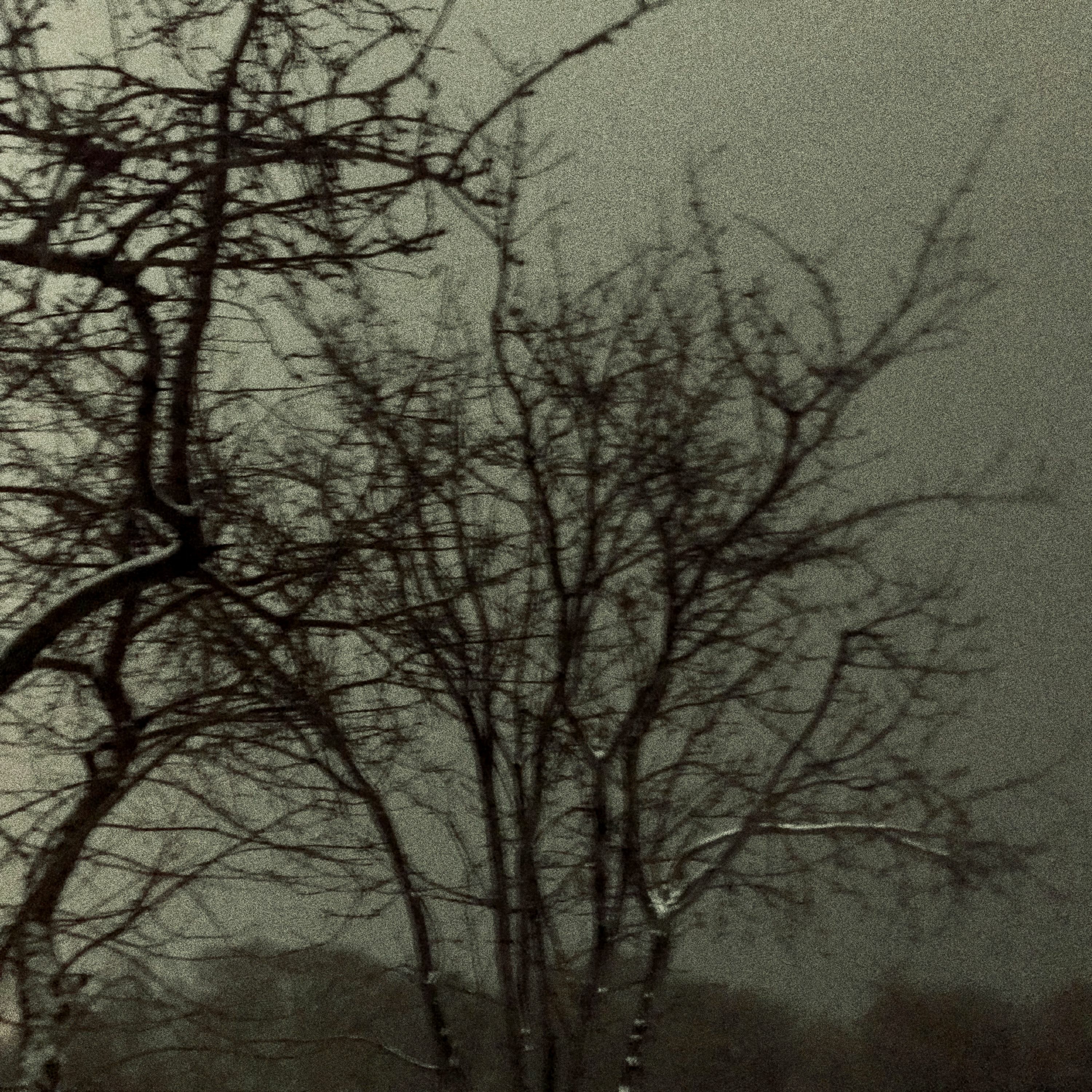 Negative Influence - Insects For The Suffocation, Pt 2