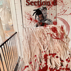 Section 8