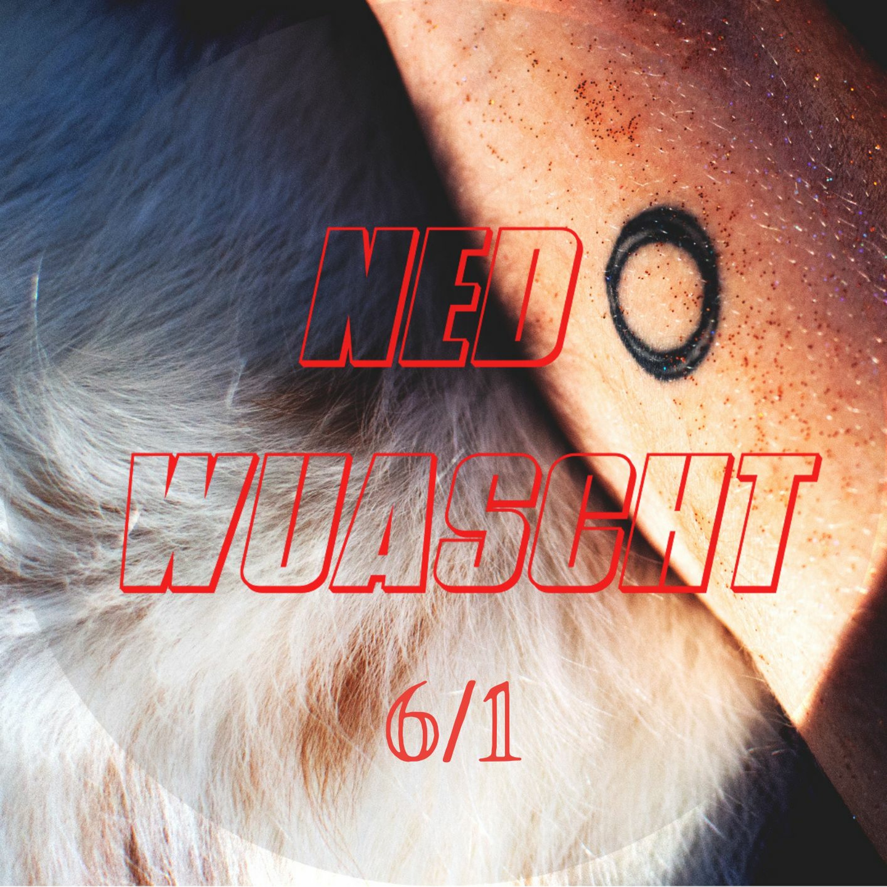 Ned Wuascht